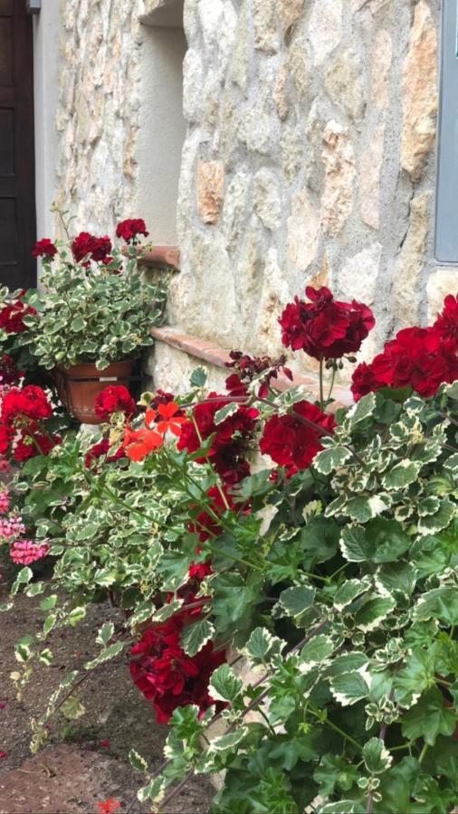 La Casetta Di Elena Lamezia Terme Exteriér fotografie