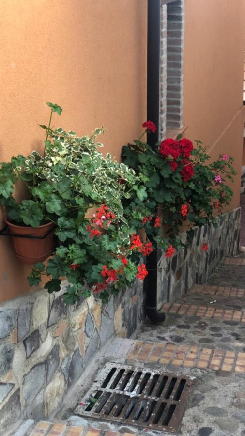 La Casetta Di Elena Lamezia Terme Exteriér fotografie